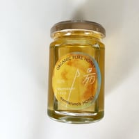 トチノキ蜂蜜/Marronnier honey