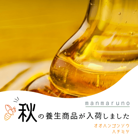 完全非加熱『オオハンゴンソウ蜂蜜2023』