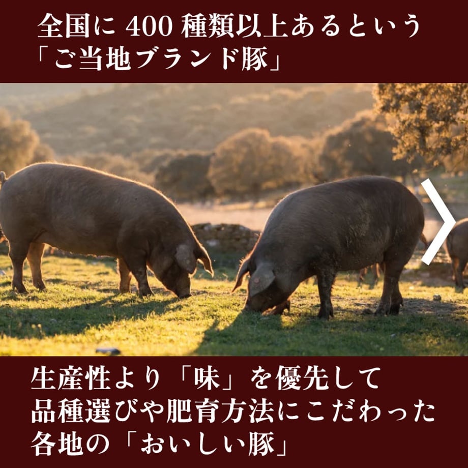 63e370b134e0173e1d17c5d0