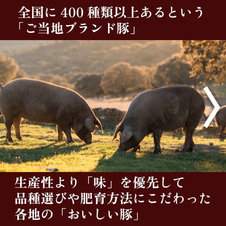彩の国黒豚みそ漬け（4枚入り）