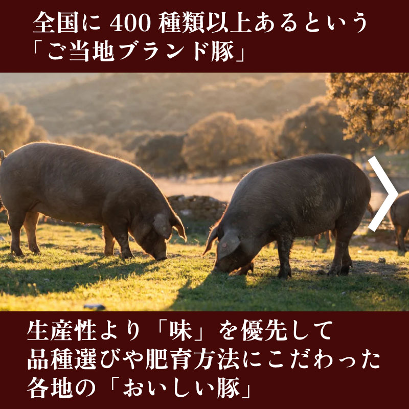 彩の国黒豚みそ漬け（4枚入り） | 東松山やきとり「ひびき」通販