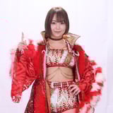 Sareee Mania Store
