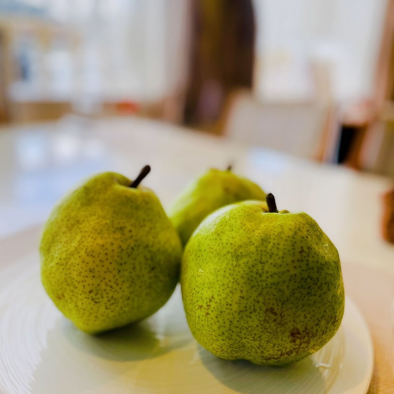 山梨県もちづき農園さんの洋梨タルト | Newport