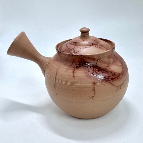 山田勇太朗 Yutaro Yamada 藻掛け 急須　ST0870
