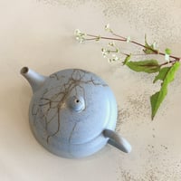 甚秋  伊藤成二  Jinshu  Seiji Ito  空色 藻掛け 後手急須 　ST0556