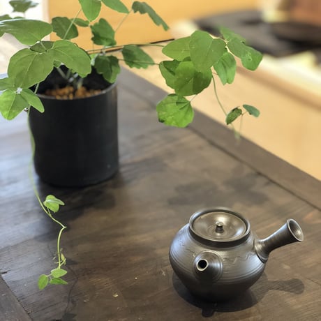 伊藤雅風 Gafu Ito 黒泥 波文様 急須　ST0262