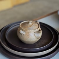谷川仁 Hitoshi Tanikawa 炭化藻掛け  宝瓶　ST0851