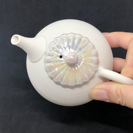 都築豊 Yutaka Tsuzuki 白泥 菊蓋 後手急須　ST0539