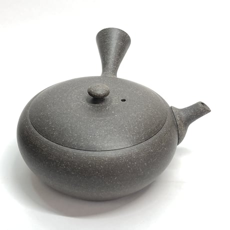 水野博司 Hiroshi Mizuno 焼き締め 極小平丸急須　ST0172