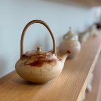 谷川仁 Hitoshi Tanikawa 藻掛け 土瓶　ST1061