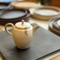 甚秋  伊藤成二  Jinshu  Seiji Ito  白 藻掛け 切立 後手急須 　ST0926