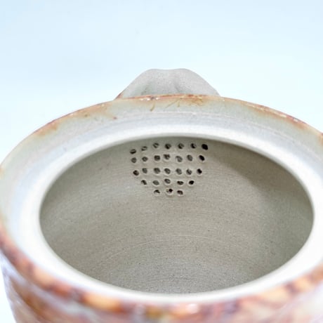谷川仁 Hitoshi Tanikawa 藻掛け 宝瓶　ST0898