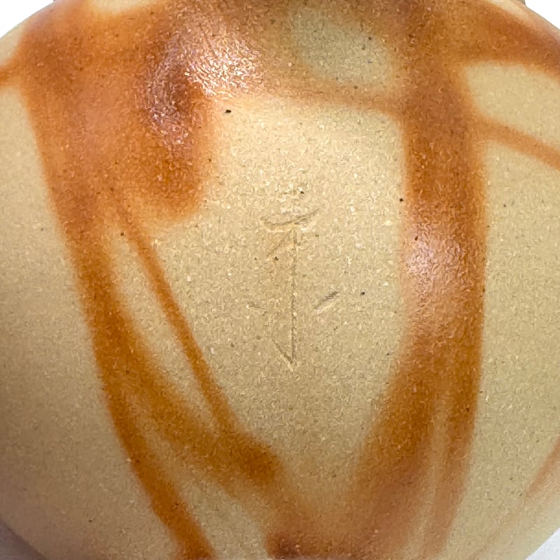 水野陽景 Yokei Mizuno 白泥焼締 火襷 カメ茶注 ST0896 | TOKONA