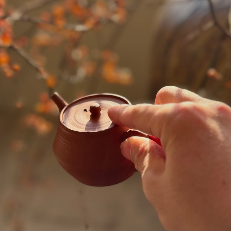 山田陶山 Tozan Yamada 朱泥 後手 急須(平蓋） ST 1008 | TOKONA