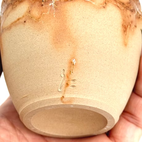 谷川仁 Hitoshi Tanikawa 藻掛け 宝瓶　ST0898