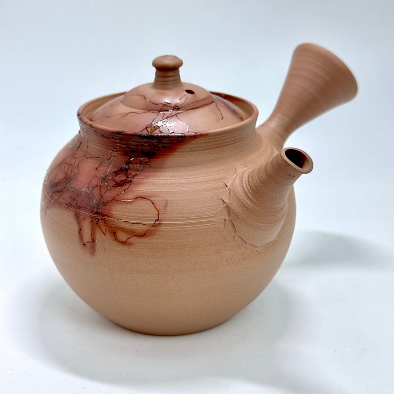 山田勇太朗 Yutaro Yamada 藻掛け 急須 ST0870 | TOKONAME IS