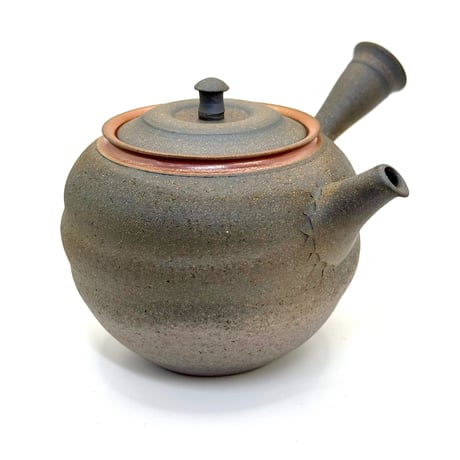 水野陽景 Yokei Mizuno  窯変焼締南蛮朱帯茶注（カメ型） ST0754