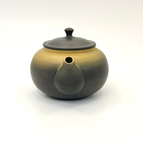 片山白山 Hakusan Katayama 緑泥窯変後手急須　ST0775
