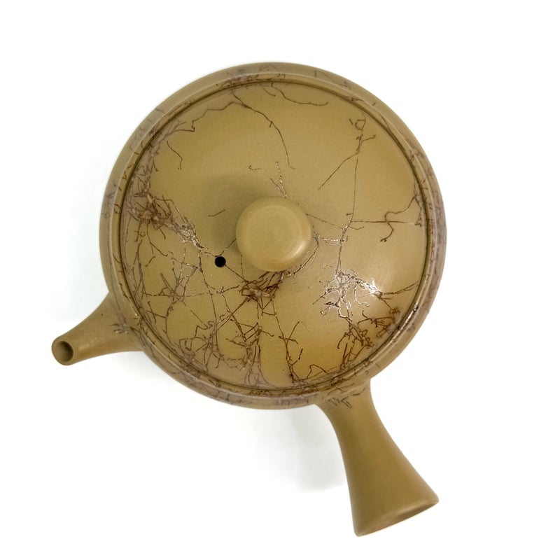 片山白山 Hakusan Katayama 緑泥藻掛 平丸急須 ST1032 | TOKONA