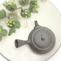 水野博司 Hiroshi Mizuno 焼き締め 象嵌 丸型 急須　ST0227