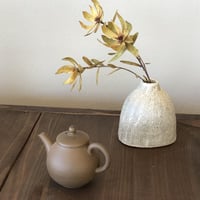 甚秋  伊藤成二  Jinshu  Seiji Ito  茶 後手急須 　ST0270