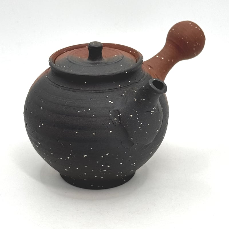 北條 Hokujo 朱泥 南蛮 窯変茶注 木箱入り ST1173 | TOKONAME ISO