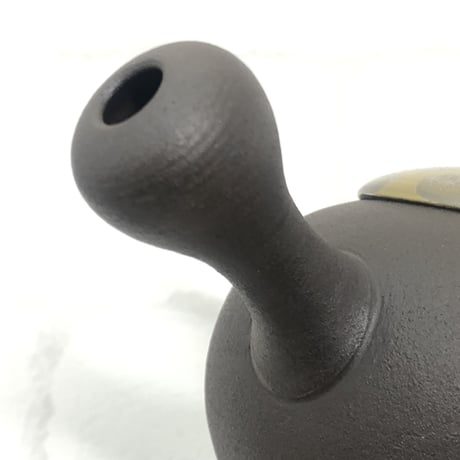 甚秋  伊藤成二  Jinshu  Seiji Ito  焼き締め 黄水玉印籠蓋 急須 　ST0375