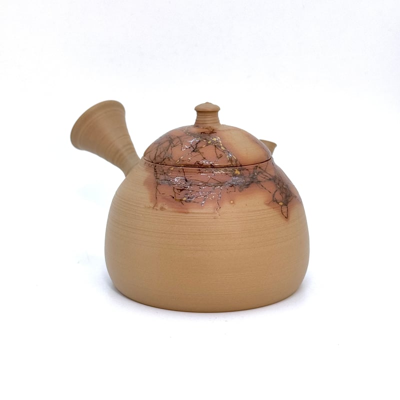 山田勇太朗 Yutaro Yamada 藻掛け 印籠蓋 急須 ST0959 | TOKONAM