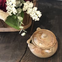 谷川仁 Hitoshi Tanikawa 炭化藻掛け  耳付 宝瓶　ST0581