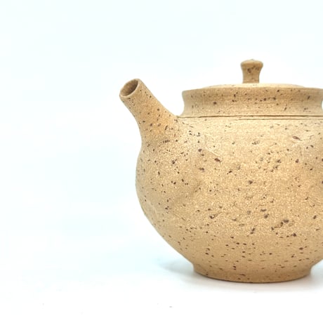 北條 Hokujo 白泥南蛮 茶注 木箱付　ST0943