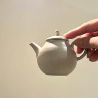 甚秋  伊藤成二  Jinshu  Seiji Ito  白 藻掛け 後手急須 　ST0825