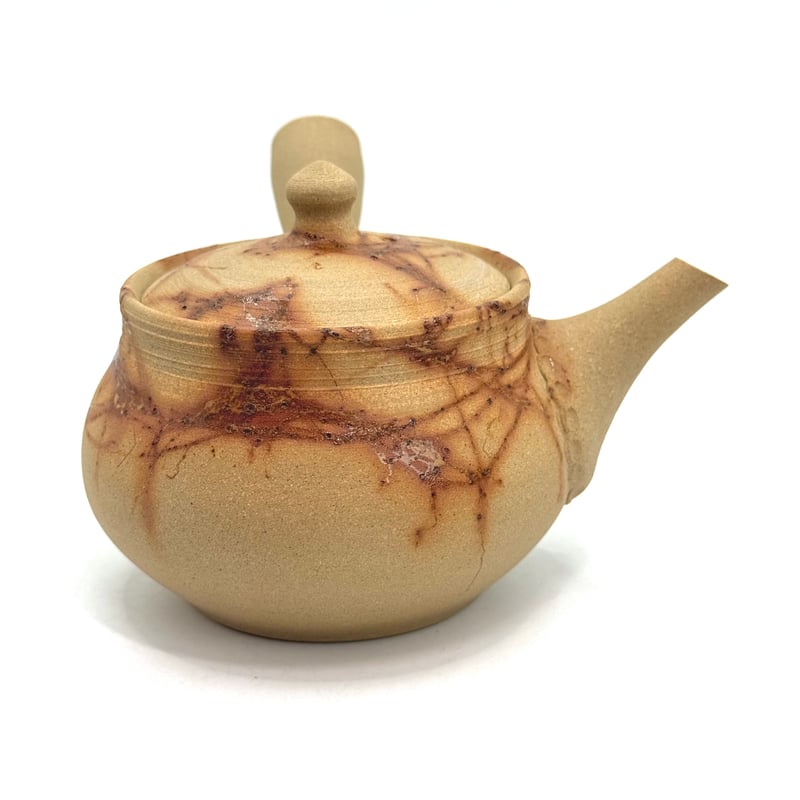 谷川仁 Hitoshi Tanikawa 白泥 藻掛け 急須 ST0929 | TOKONAM