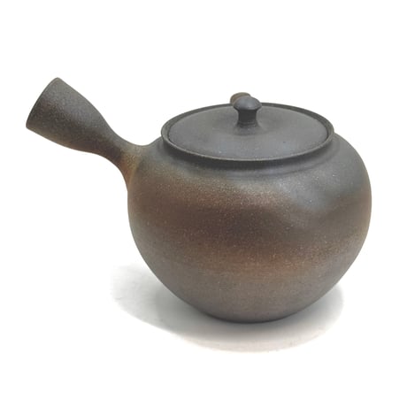 水野陽景 Yokei Mizuno  窯変焼締 カメ型茶注　ST1144