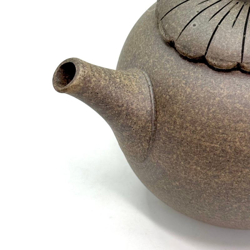 都築青峰 Seiho Tsuzuki 焼締 菊蓋 後手急須 ST0904 | TOKONAME