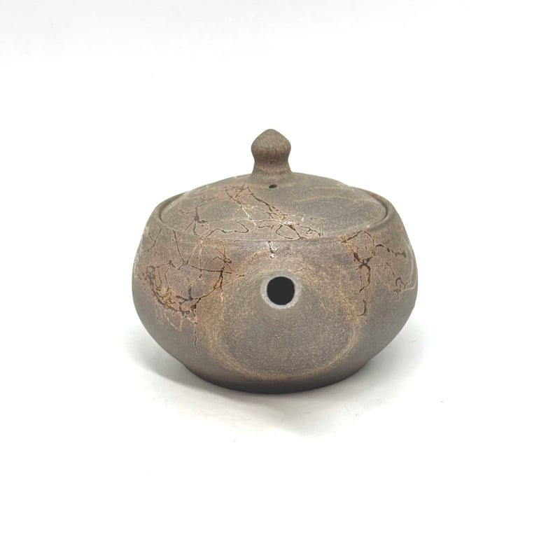 谷川仁 Hitoshi Tanikawa 炭化藻掛 後手急須 ST1031 | TOKONAM