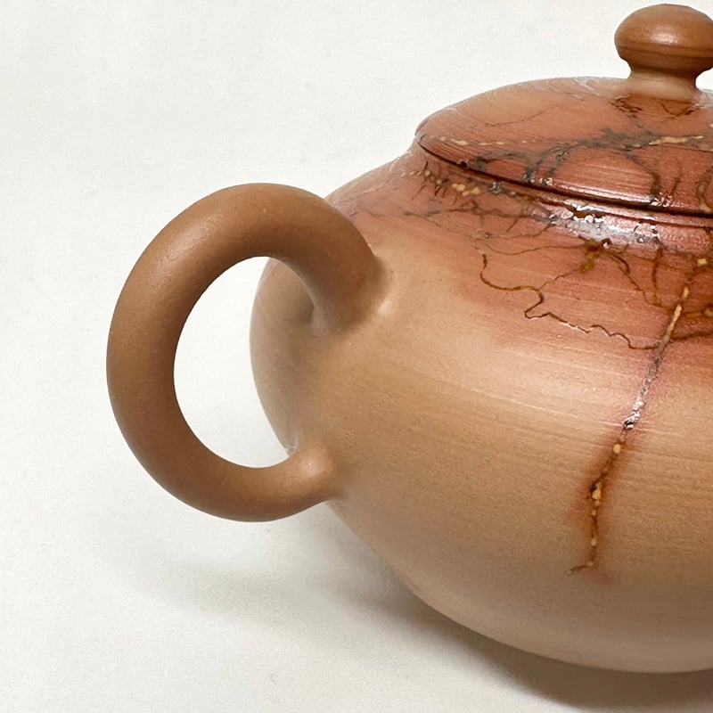 山田勇太朗 Yutaro Yamada 藻掛け 後手急須 ST0671 | TOKONAME