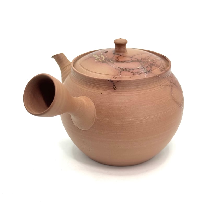 急須 山田勇太朗 Yutaro Yamada 藻掛け 急須 ST0969 | TOKONAME IS