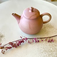 甚秋  伊藤成二  Jinshu  Seiji Ito  桜色 藻掛け 後手急須 　ST0823