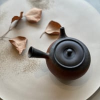水野陽景 Yokei Mizuno  朱窯変南蛮茶注（カメ型） ST0737