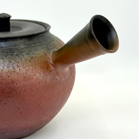 水野陽景 Yokei Mizuno  朱窯変南蛮茶注（カメ型） ST0737