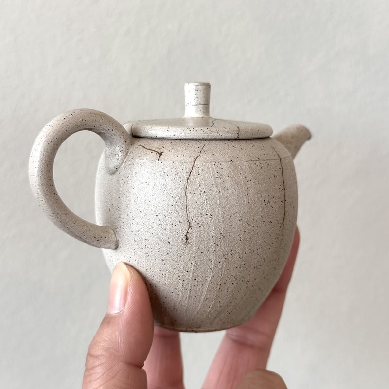 Sho❗️希少品❗️森伊蔵前掛け 甚秋 伊藤成二 Jinshu Seiji Ito 白 藻掛け 極平急須 M ST0