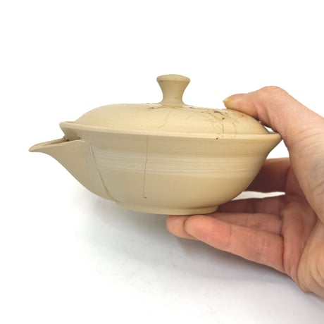 片山白山 Hakusan Katayama 白泥 藻掛け 宝瓶　ST1076