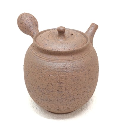北條 Hokujo 焼き締め 南蛮 茶注 木箱入　ST0570