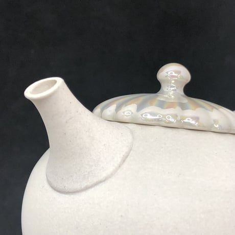 都築豊 Yutaka Tsuzuki 白泥 菊蓋 後手急須　ST0539