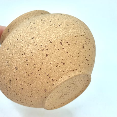 北條 Hokujo 白泥南蛮 茶注 木箱付　ST0943