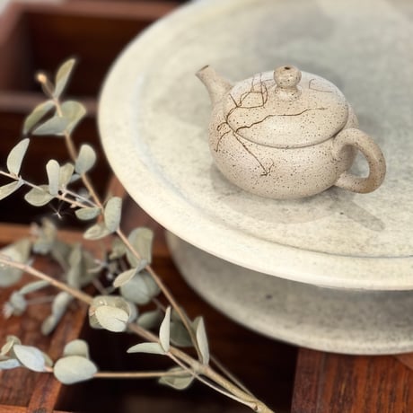 甚秋  伊藤成二  Jinshu  Seiji Ito  後手茶壺 小　ST1194