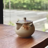 谷川仁 Hitoshi Tanikawa 白泥藻掛け  宝瓶　ST0850