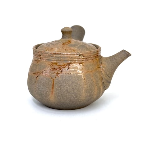 谷川仁 Hitoshi Tanikawa 炭化藻掛け 茶注　ST1038
