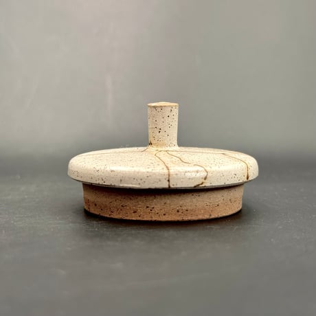 甚秋  伊藤成二  Jinshu  Seiji Ito  白 藻掛け 切立 後手急須 　ST0926