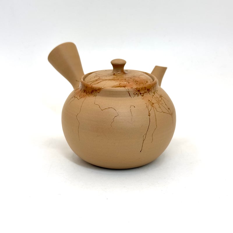 片山白山 Hakusan Katayama 古常滑土 藻掛け急須 ST0884 | TOKON